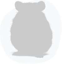Hamster
