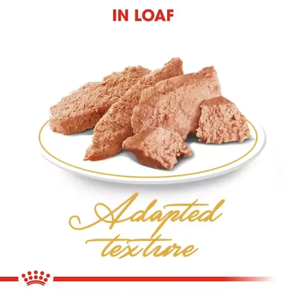 Royal Canin Loaf Specially for Adult Persian Cat Wet Food 12x85g - Image 2