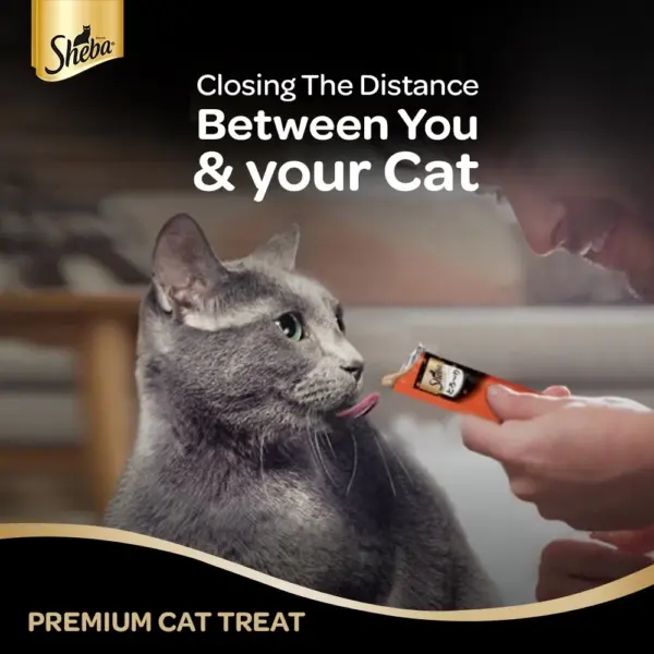 Sheba Melty Sasami Selection (Chicken Flavor and Chicken & Whitefish Flavor) 12gx4 Cat Treats - Image 2