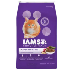 IAMS Proactive Health Mother and Kitten Dry Food