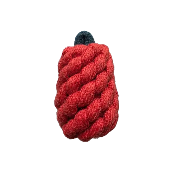 Rope Apple Chew Toy for Dogs