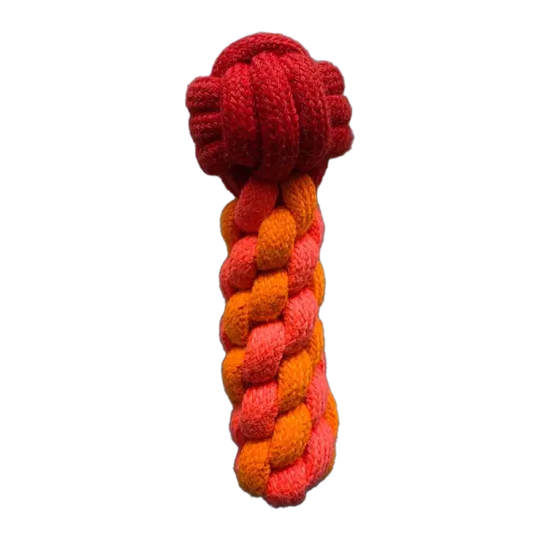 Rope Mic Chew Toy for Dogs