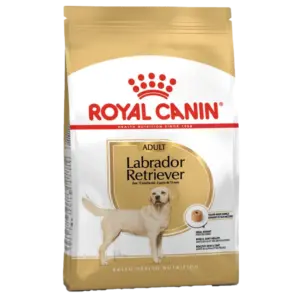 Royal Canin Labrador Retriever Adult Dry Food