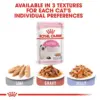 Royal Canin Loaf in Sauce Instinctive Kitten Wet Food 12x85g