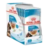 Royal Canin Maxi Breed Puppy Wet Food 10x140g