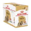 Royal Canin Shih Tzu Adult Dog Wet Food 12x85g
