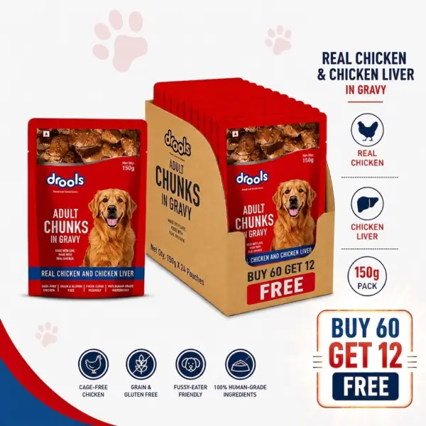 Drools Real Chicken and Chicken Liver Chunks in Gravy Adult Dog Wet Food 60+12 Drools Real Chicken and Chicken Liver Chunks in Gravy Adult Dog Wet Food